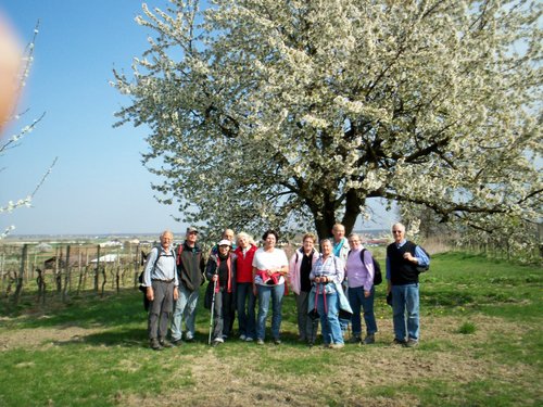 1. Dienstag-Monatswanderung 2012